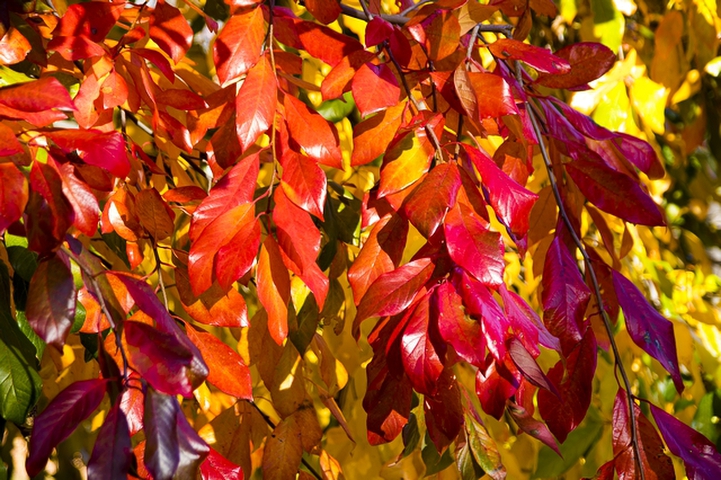 Polished ColoursPhotography by David Willis